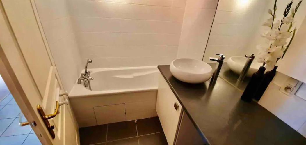 Tichnich Appartement - 2 Bedrooms - 1 Min Away From Train Station Annemasse Ngoại thất bức ảnh