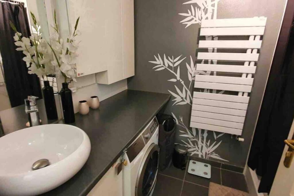 Tichnich Appartement - 2 Bedrooms - 1 Min Away From Train Station Annemasse Ngoại thất bức ảnh